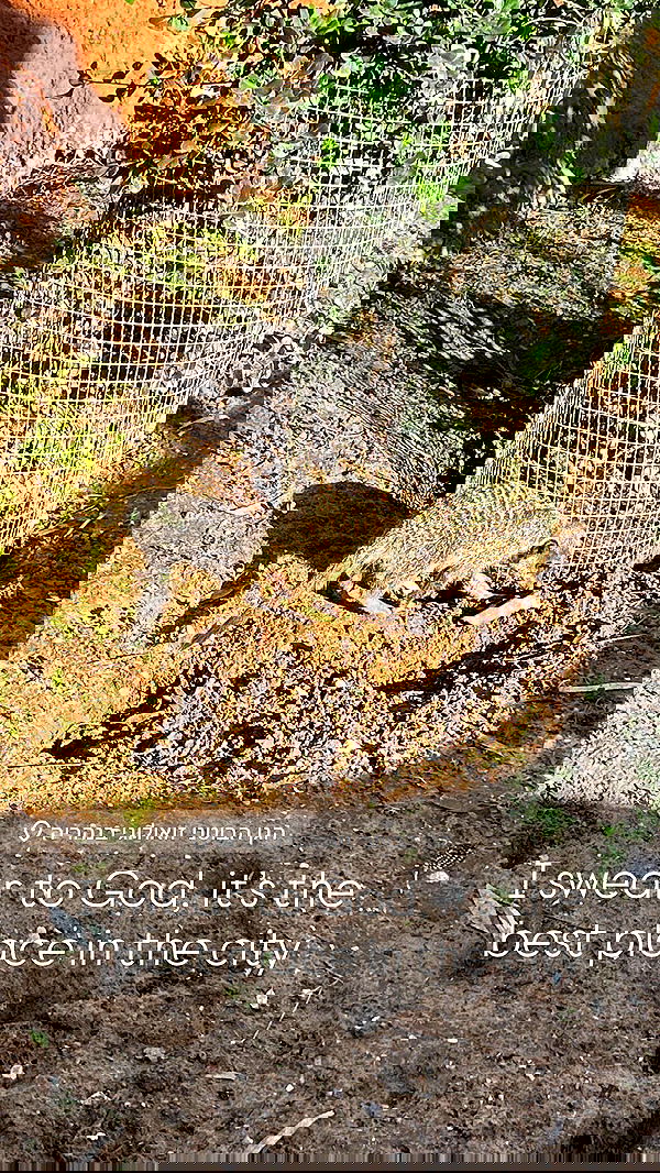 feelbetterinmysweater feelbetterinmysweater archive image