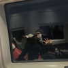 kelseydopegal Altpins Profile Picture