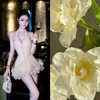 lyhythuedoxinh Altpins Profile Picture