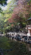 solzarubin_ Altpins Profile Picture