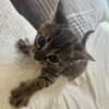 nishymoon_ Altpins Profile Picture