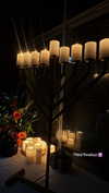 diana_tal_ Altpins Profile Picture