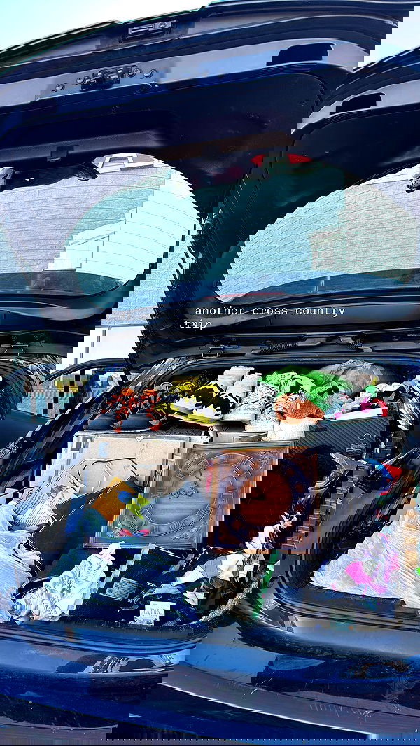 zommmbri zommmbri archive image