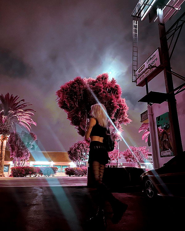 haileylayfield instagram image archive image