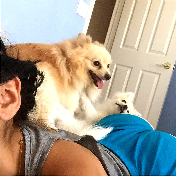 sssniperwolf instagram image archive image