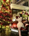 lyhythuedoxinh Altpins Profile Picture
