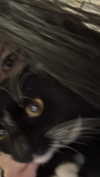 vampiryska Altpins Profile Picture
