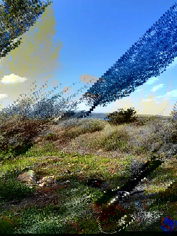 strawberryshanz strawberryshanz archive image