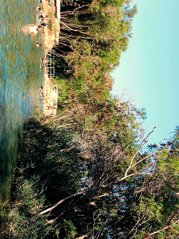rei.sigalov instagram image archive image