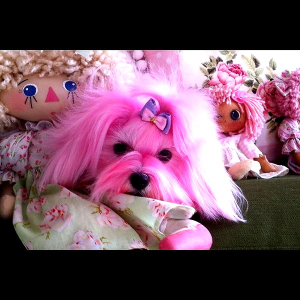 maya.keyy instagram image archive image