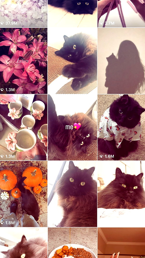 jeanlouiee instagram image archive image