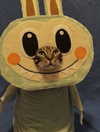 ellaexplicit_ Altpins Profile Picture
