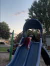 astarwbry_ Altpins Profile Picture