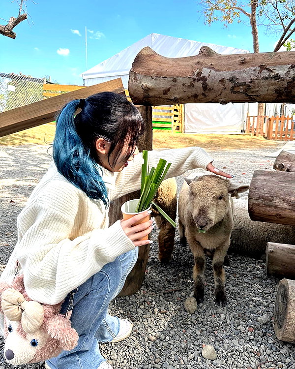 ____sy.02 instagram image archive image