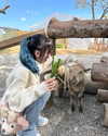 ____sy.02 Altpins Profile Picture