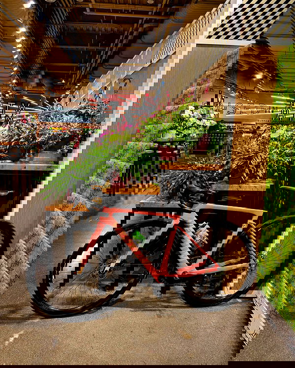 thelizzyporter thelizzyporter archive image