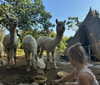 kafelnikova_a Altpins Profile Picture