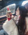 dear.zia Altpins Profile Picture