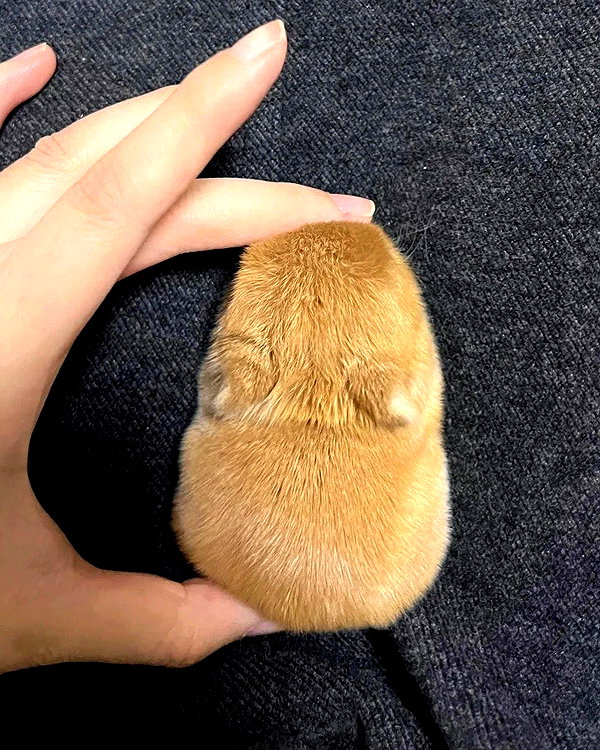 mewisa instagram image archive image