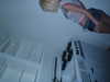 bentevviolet Altpins Profile Picture