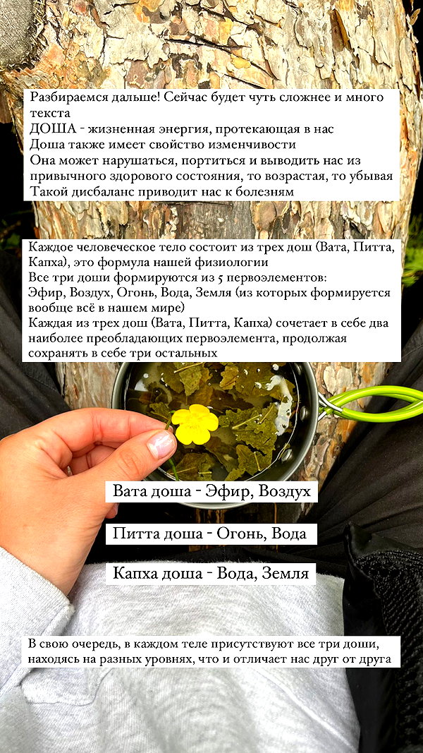 stranstviepera instagram image archive image