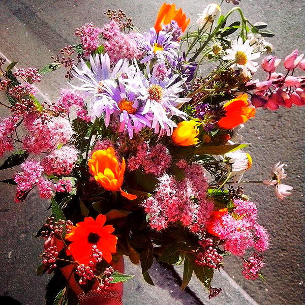 sychevskaya instagram image archive image