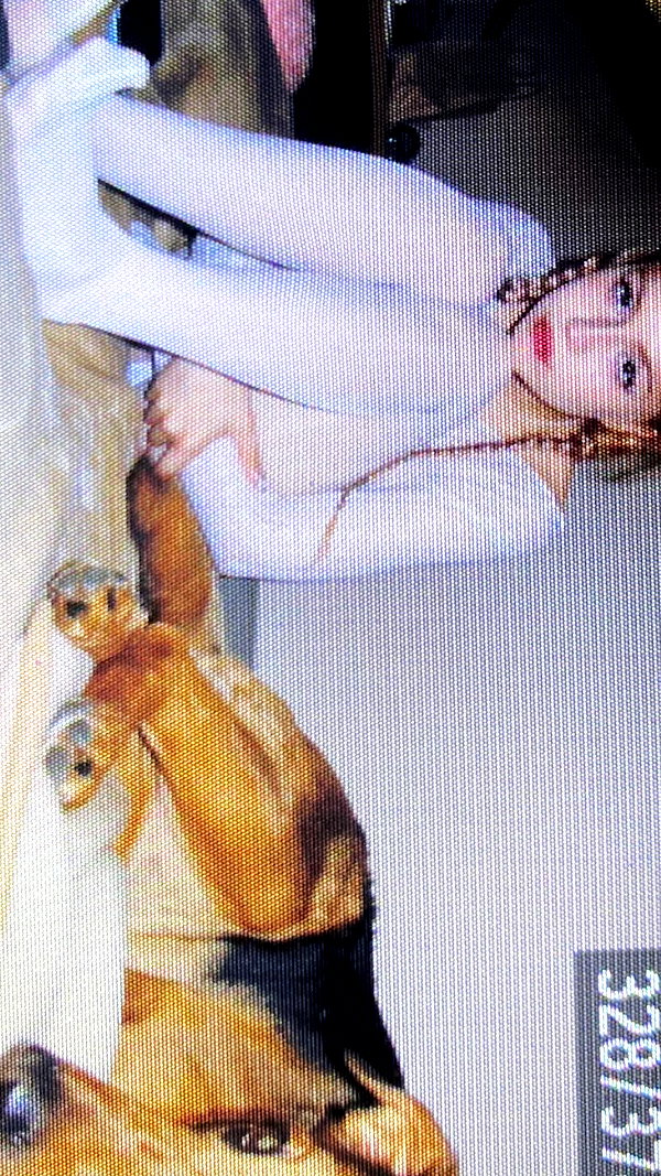 carmexan instagram image archive image