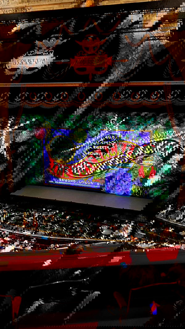 peacake6 peacake6 archive image