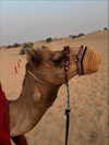 seline_paz Altpins Profile Picture