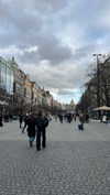 valeria.potti Altpins Profile Picture
