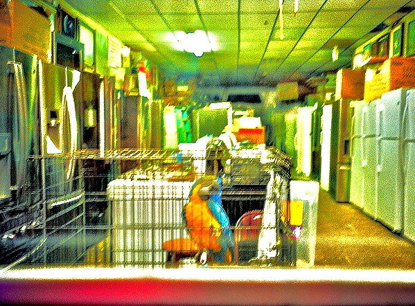bugz4brainz instagram image archive image