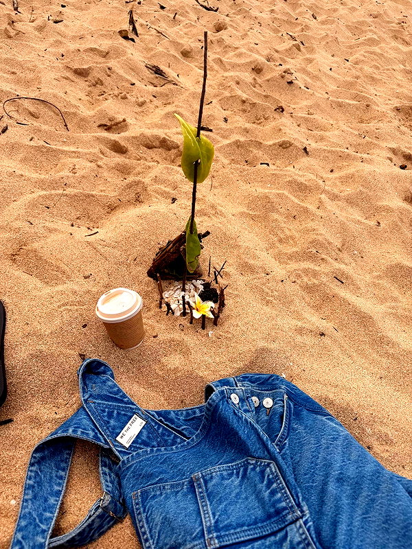 Archived image from @katiesigmond on Instagram