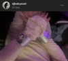 djbabysosh Altpins Profile Picture