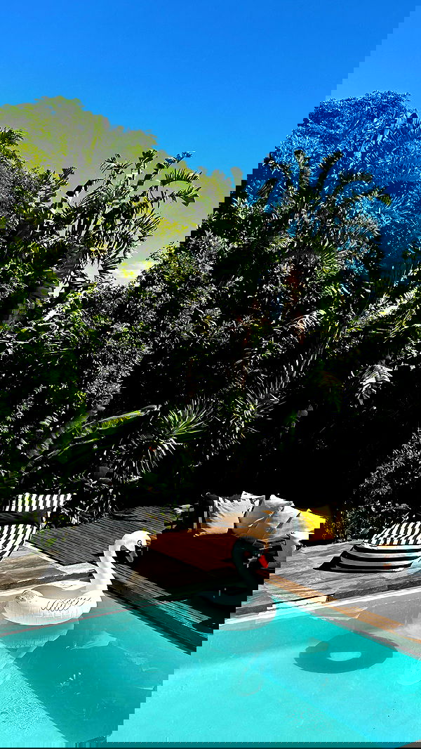 taylor.creeden taylor.creeden archive image