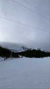 elsgatti Altpins Profile Picture