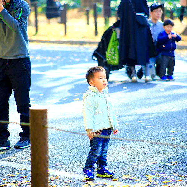 muze instagram image archive image
