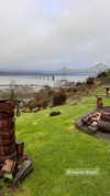 newpoort Altpins Profile Picture