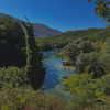 __yaheli_ Altpins Profile Picture