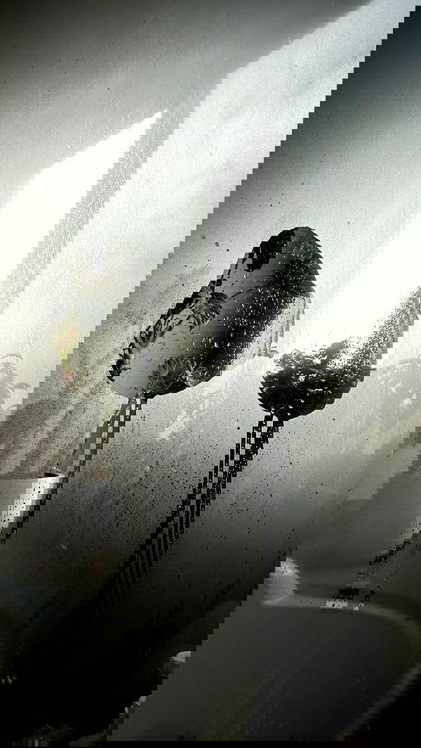 zommmbri zommmbri archive image