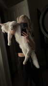 jessie.ra3 Altpins Profile Picture