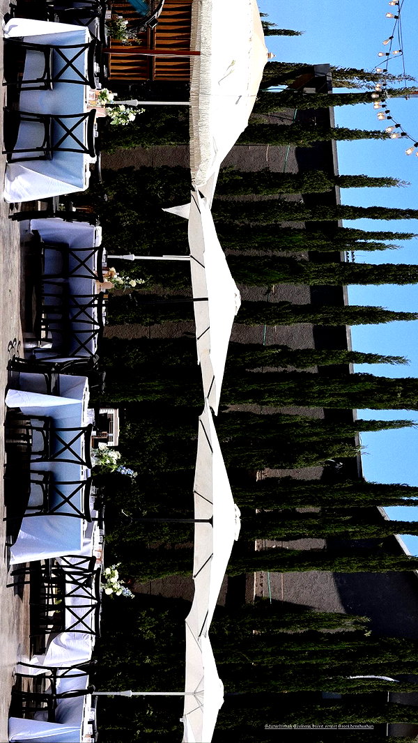 roni.benshushan instagram image archive image