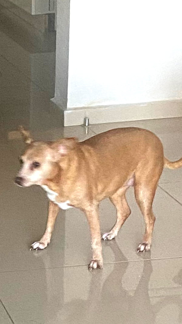 babynympho_archive instagram image archive image