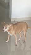 babynympho_archive Altpins Profile Picture