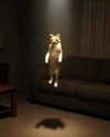 ellaexplicit_ Altpins Profile Picture