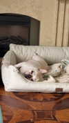 marilyn_damaged Altpins Profile Picture