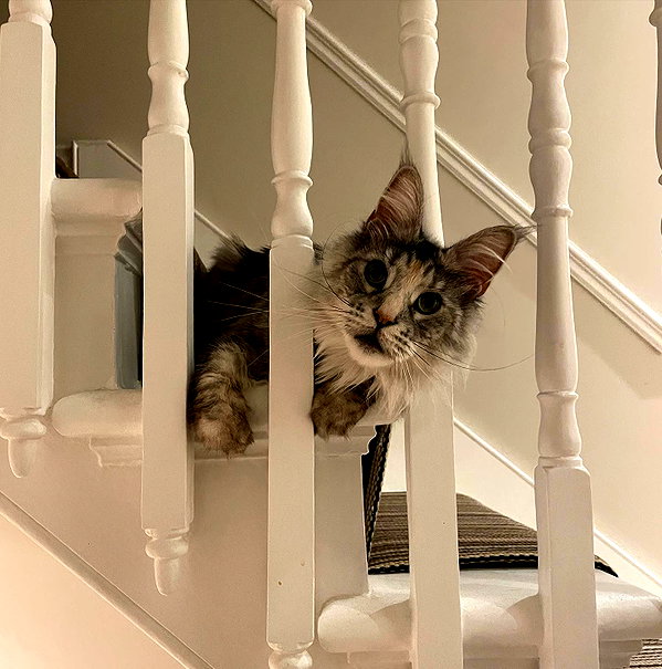 777pb_ instagram image archive image
