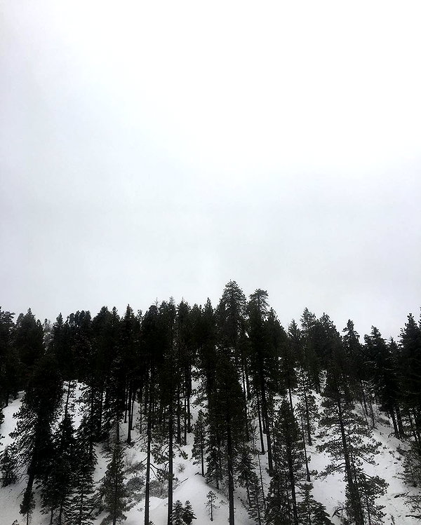 haileylayfield instagram image archive image
