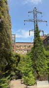 pol_cherie Altpins Profile Picture