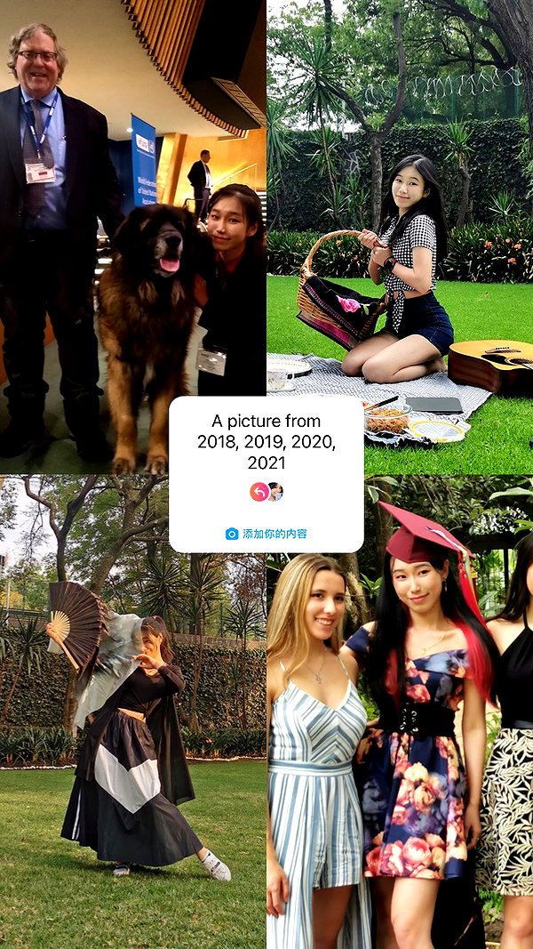 shulunc instagram image archive image