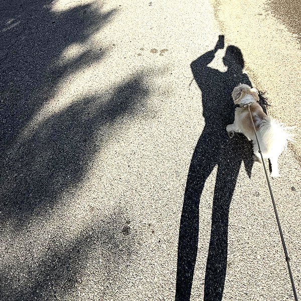 madelame instagram image archive image
